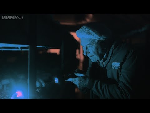 The Birth of Fungi - The Magic of Mushrooms: Preview - BBC Four