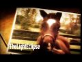 Preakness Stakes