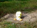 Happy Tree Knuffels 7 - Tweety\ Happy Tree Knuffels 7 - Tweety\