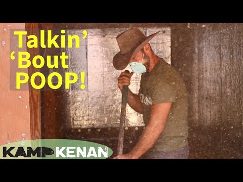 YouTube reptile video