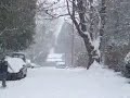 Stumptown Snow Day Stumptown Snow Day