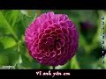 ► Because I Love You - Shakin' Stevens (Vietsub) – ► Because I Love You - Shakin' Stevens (Vietsub)