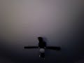 My New Video3