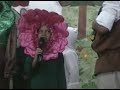 Adventistas:  El Jardin - www.mundoja.com