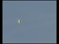 First Flight + DEAD STICK ON LANDING