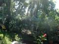 videos de MOV03198.MPG