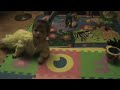 Peanut Crawls: The First Day