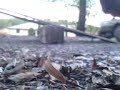 Xtreme SCOOTER STUNTS 2 - See Saw!!!