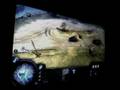 Company Of Heroes 2560x1600 8800GTX SLI 30LCD