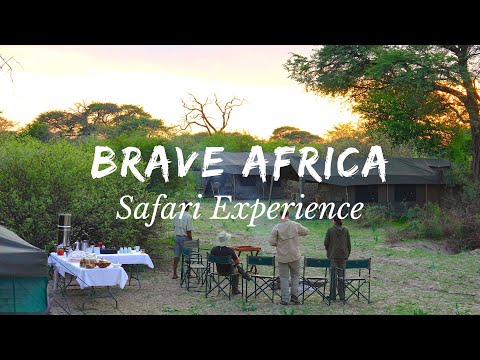 The Brave Africa Safari Experience
