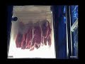 Biltong Biltong