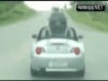 car-chase.html