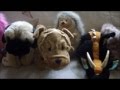 Webkinz Big Brother: Episode 19