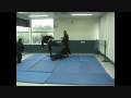 ninja Master David Haliva - The Nine Cutting Hands -part-1