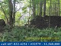 Catskill Mountains Land for Sale - #32579 - $1,560,000