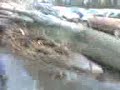 boom waait op auto in atown=p boom waait op auto in atown=p