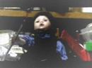 The Doll The Doll
