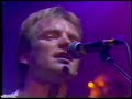 Sting - If you love somebody set them free (live) Sting - If you love somebody set them free (live)