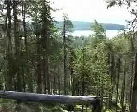 Last yoik in Saami forests - ...