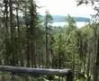 Last yoik in Saami forests - scenerys from Inari lake
