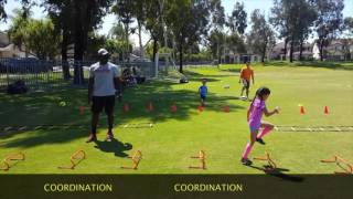 SPEED AGILITY SESSION