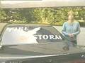 Firestorm Spark Plugs