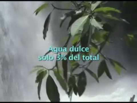 Imagen de previsualización de YouTube
