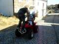 Mafiia lagOa (L'