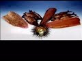 LEA SALONGA - Pasko Na Sinta Ko / Sana Ngayong Pasko
