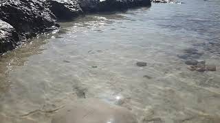 VIDEOS + 57 Limni Rock Lagoon Coray Bay Cyprus 20. Juni 2020 004