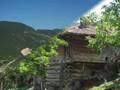 Kesik �ay�r