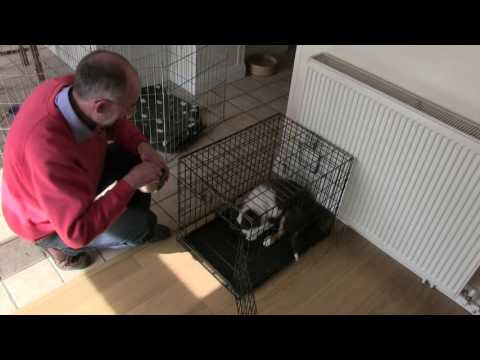 Part 2 Crate games first session