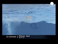 A dolphin suddenly leaped out of a tank during a show at Okinawa Churaumi Aquarium, in southwestern Japan.... No Comment | euronews: watch the international news without commentary | www.euronews.net