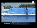 Japan: accident at Okinawa Churaumi aquarium - no comment