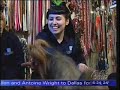 People and dogs play board game together