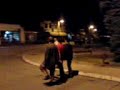 Grdelica Nostalgicari