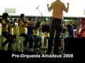 Pre-Orquesta Amadeus Concierto Primer Semestre 2008