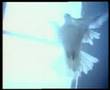 Bic Runga - Bursting Through