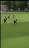 Final Centauros vs Indios Chapaleufu II, chukker 5