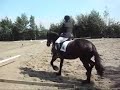 evelien en renske op wedstrijd in berghem evelien en renske op wedstrijd in berghem