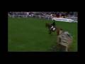 badminton 2008 Nicolas touzaint showjumping