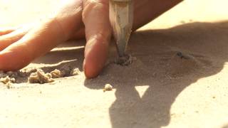 Opgraving groot grafveld uit de steentijd in Dalfsen