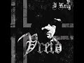 Vreid - I Krig