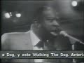 Rufus Thomas - Walking the Dog.