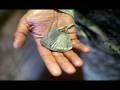 videos de CCR FORTUNATE SON.wmv