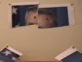 live stream by wechselstrom (aka christoph theiler)in machfeld studio opening, vienna 2004