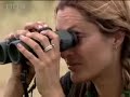 Big cat experts find and follow two cute leopard cubs - BBC wildlife