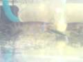 This video is captured from my 2nd...