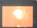 Grape in microwave oven - plasma