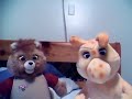 all about bears